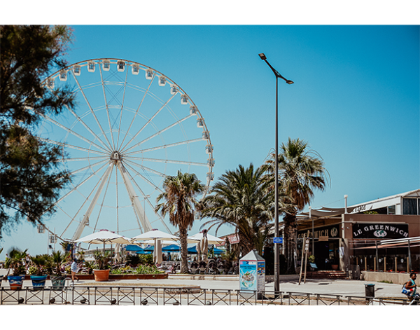 Galerie Photos - Greenwich - Restaurant Borély Marseille - Restaurant terrasse Marseille