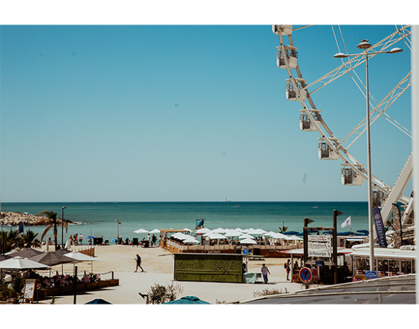 Galerie Photos - Greenwich - Restaurant Borély Marseille - top resto Marseille