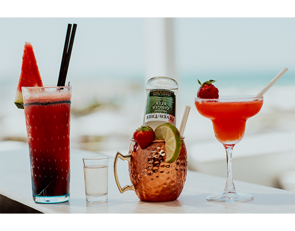 Galerie Photos - Greenwich - Restaurant Borély Marseille - Restaurant Bord de Mer Marseille